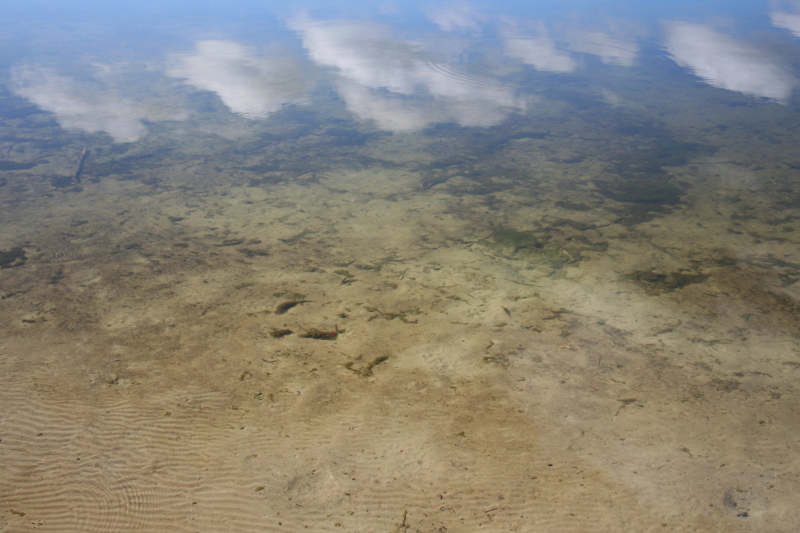 Killikus&reg; Fotographie